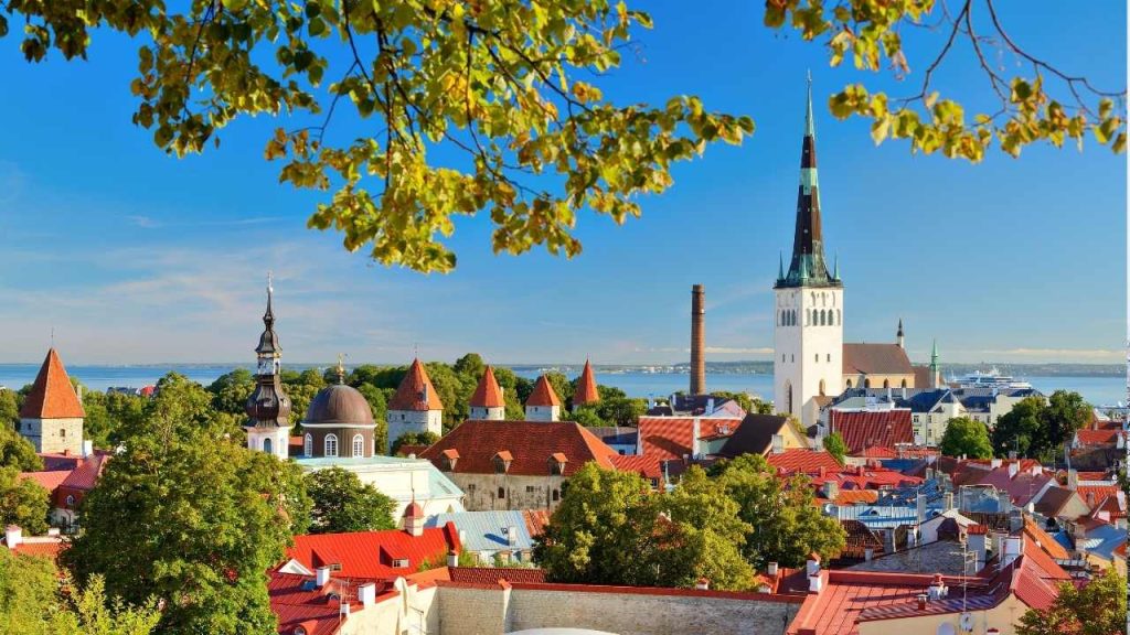 Tallinn Becomes Strategic Tech Nexus for US and Middle East