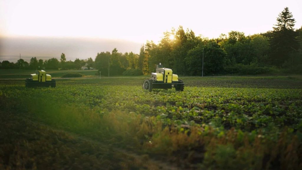 Autonomous agricultural robot performing precision weeding in a crop field